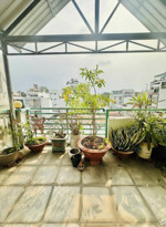 bán nhà đẹp ngay đầm sen hòa bình 4 tầng 56m 5pn