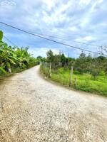  CÒN 04 NỀN LIỀN KỀ CẠNH ĐẠI HỌC NAM CẦN THƠ 4,2X18,5M, LỘ 4M, THỔ CƯ FULL GIÁ 1 TỶ 50TR.