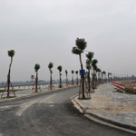 hàng vip lỗ giao -thư lâm - hà nội. liền vách khu tái định cư -59m - đường ô tô tránh -chỉ 6.8 tỷ