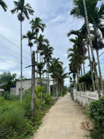 bán đất 125m2 gần nam phước, gần hội an, giá siêu hời 570 triệu tại quế xuân 1, quế sơn, quảng nam