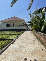 bán mảnh đất 70m ngay cạnh chợ đông tảo giá 23tr/m giá tốt nhất thị trường