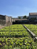 bán mảnh đất 70m gần chợ đông tảo vành đai 4 giá 23tr/m lh 