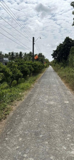 bán đất 1400m2 ấp chợ, phước hưng, trà cú, trà vinh