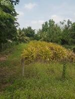 Bán nền đường nhựa 12m đất chiều ngang 10m giá 1,6 tỷ