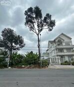  NỀN BIỆT THỰ ĐƯỜNG A1 ( Lộ giới 30m) KHU LONG THỊNH - P. HƯNG PHÚ ( Mới) - TP. CẦN THƠ