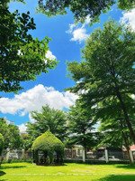 cho thuê căn hộ 68 m2, 2 pn, 2 wc, có đầy đủ nội thất, 9 tr/th, cc dream home gò vấp