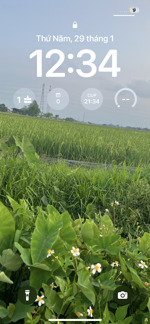 bán đất tại đường 419, tiên phương, chương mỹ, hà nội, 3,8 tỷ, 100m2 giá ưu đãi