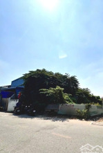 bán lô đất thổ cư 309,2m2 (6,8x45) đường an phú đông 25, phường an phú đông q12 . đường 10m