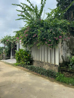 đất thị trấn kinh doanh tấp nập