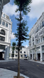 bán nhà 4 tầng 1 tum xây thô, diện tích đất 84 m2, tổng diện tích sàn 360m2 tại đông kinh, lạng sơn