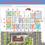 bcons asahi căn góc 3pn -2wc căn 05 tầng 09 view đông nam x.x tỷ full vat đã đóng 5% chính chủ