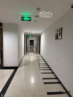 cho thuê căn hộ chung cư wilton tower, 33 m2 sạch sẽ, phù hợp ở 12 người hoặc làm office