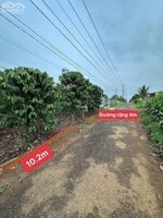 HẺM 203 NGUYỄN VIẾT XUÂN, ĐAMBRI - PHƯỜNG 2 MỚI BẢO LỘC - 990 TRIỆU/ 502M2