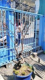 bán nhà cấp 4 108m2 sổ riêng hẻm 724 lê văn lương ngay cầu gạch đĩa