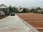 siêu phẩm cbi ra mắt đông sơn thủy nguyên chỉ từ 8xx triệu diện tích : 50-58m2
đường rộ