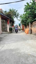 bán đất ninh xá, cần tiền trc tết trả nợ, lô góc 3 mt, phân lô.