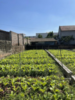 bán mảnh đất 69.5m2 cách chợ đông tảo 200m, giá 25 tr/m2. lh 