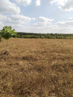 bán đất chính chủ, sổ hồng riêng