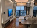 bán căn hộ 3,3 tỷ, 50,9m2,nội thất cao cấp ,view đẹp , nhiều tiện ích, có sẵn dòng tiền thuê!