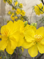 4 tầng mới đẹp, 33m2(3x11), hẻm 4m thoáng, hl2 bình tân, ngay ngã tư bốn xã