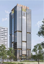 cho thuê văn phòng dt 650m2 1 sàn the marc trần thái tông