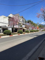 bán nhà mặt tiền, đường lang biang, thị trấn lạc dương, 11 tỷ