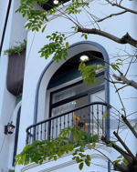 bán villa biển mỹ khê 4 tấng, dòng tiền 50 triệu- trung tâm phố du lịch đà nẵng- giá chỉ 1x tỷ