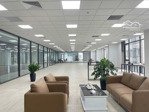 cho thuê văn phòng 600m2/sàn hiện trống 6 sàn, giá thuê 338k/m2 tại 82 duy tân, cầu giấy, hà nội