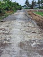 Bán đất mt sông Vàm Cỏ Đông xã Hòa Khánh Nam tdt 9000m2 ( có 185m2 thổ) giá 12,5 tỷ