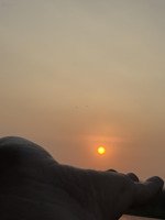 bán căn hộ chung cư 68m2, 4,5 tỷ giá ưu đãi tại phước long b, thủ đức, hcm