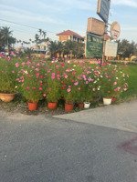 đường lê thánh tông đẹp nhất làng an mỹ , cẩm châu