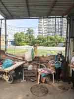 chính chủ bán đất dưới chân chung cư sát vincom 550