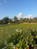 view lúa diện tích nhỏ , hàng hiếm , view cực đẹp, thoáng mát gần biển gần phố cổ