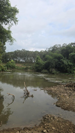 đất mẫu giá tốt, có thổ cư, có view sông. đường ô tô, cách trung tâm 4km