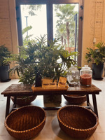 cho thuê mặt bằng kinh doanh spa - địa trung hải và khu bãi kem