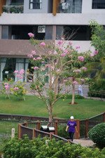 mở bán tháp t2 trellia cove - mizuki park: lì xì 2 chỉ vàng, chiết khấu 14.5%