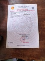 bán lô đât ..
kiêt ...2m5 khu vục son trà .. dt 60m2.... ngan 4
cách biển vài trăm m