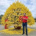 nhà 48m2 nở hậu, xe hơi vf5 đậu cửa- sát hẻm xe tải nơ trang long p.13 bình thạnh 6.x tl