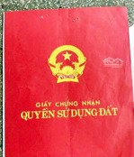 bán gấp đất 438m2 tại xã thuận mỹ, 1,8 tỷ