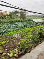 bán gấp đất thổ cư 100.7m2 tại tỉnh lộ 205, thôn dũng tiến xã thoàn long, 31 triệu / m2