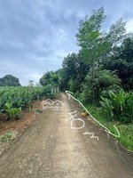 mảnh đất trồng full mít cách tt hà nội 60km, mt 40m bám trục đường tới quần thể nghỉ dưỡng làng gạo