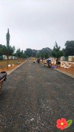 bán đất hòa lạc, đồng trạng cổ đông giá rẻ