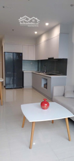 chính chủ cho thuê căn hộ view vinuni s2.17, 2n, 2vs full đồ