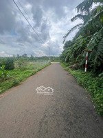 chủ cần bán lô đất tâm huyết để giải quyết việc 5400m2 có sẵn 160m2 thổ cư đường nhựa đất đỏ bazan