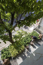 bán gấp biệt thự mặt tiền trần quý cáp cách biển chỉ 800m