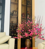 cần bán nhà mới xây dt 80m, full nội thất + thang máy xịn, giá 14,8 tỷ bao thuế phí. lh 