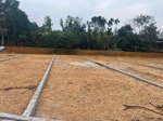 bán đất 115m2 ở xã tu vũ, 460 triệu, mặt tiền 6.9m