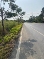 đất sát rừng - cách biển hồ tràm 3km - đường nhựa 8 m khu nghỉ dưỡng sát bên - rẻ đẹp ở đây