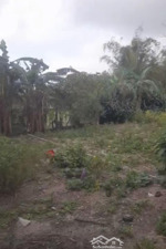 bán nhà riêng và đất nhà tại thôn an hà, xã nam cửa việt