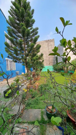 bán đất 101m2 (6x18) full thổ-huỳnh tấn phát 500m sang quận 7 - kdc hiện hữu - chỉ 44tr/m2 quá rẻ